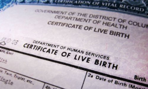 detroit vital records birth certificate